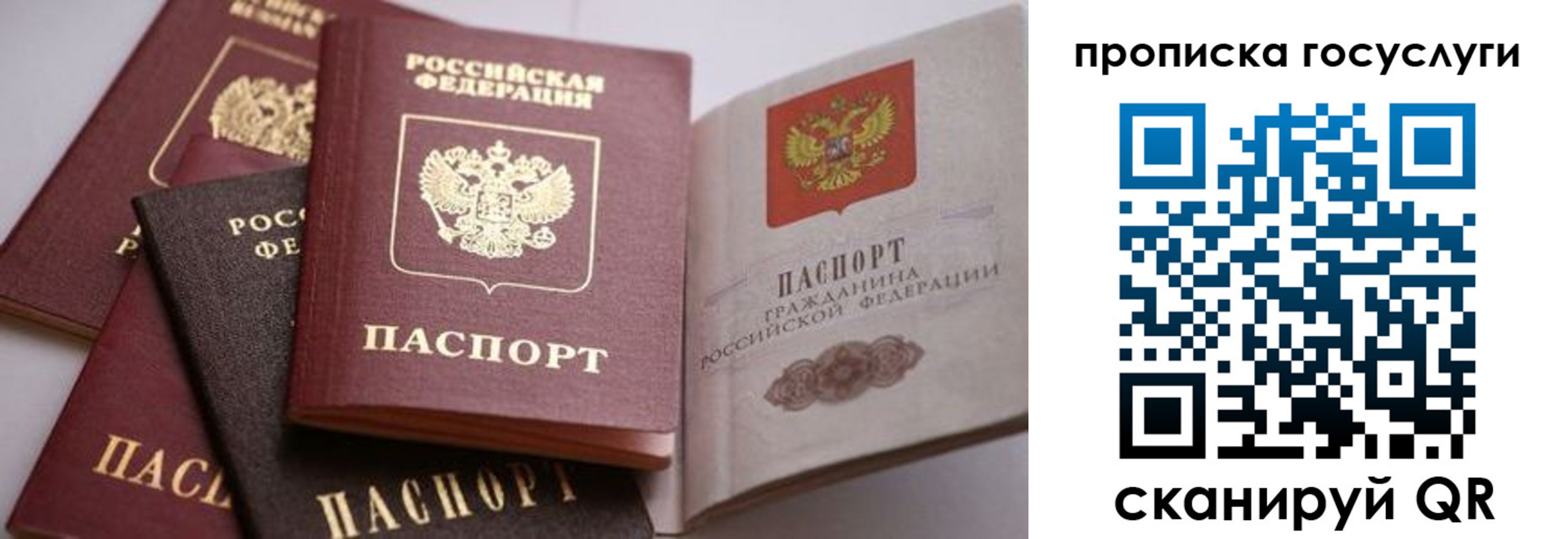 прописка иностранных граждан в Няндоме